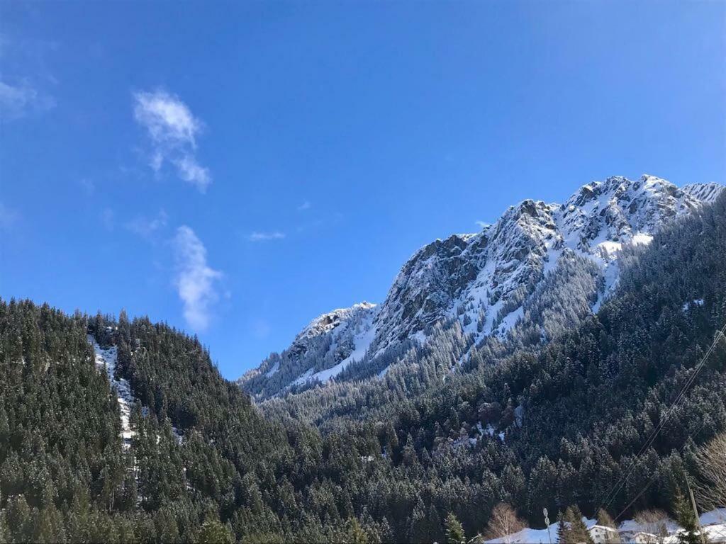 Alpinappartements Stoeckl بارتنين المظهر الخارجي الصورة